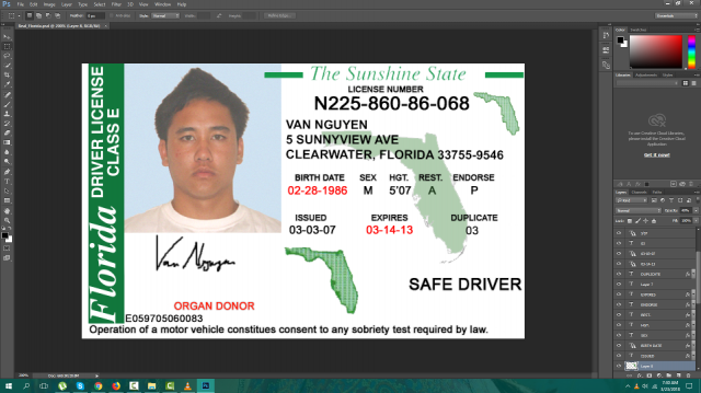 Florida driving licence psd template