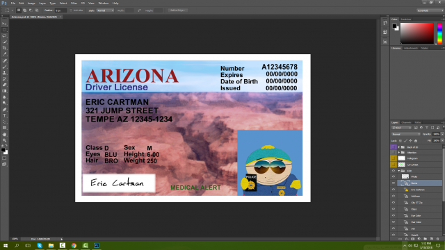 Arizona Driving Licence PSD Template
