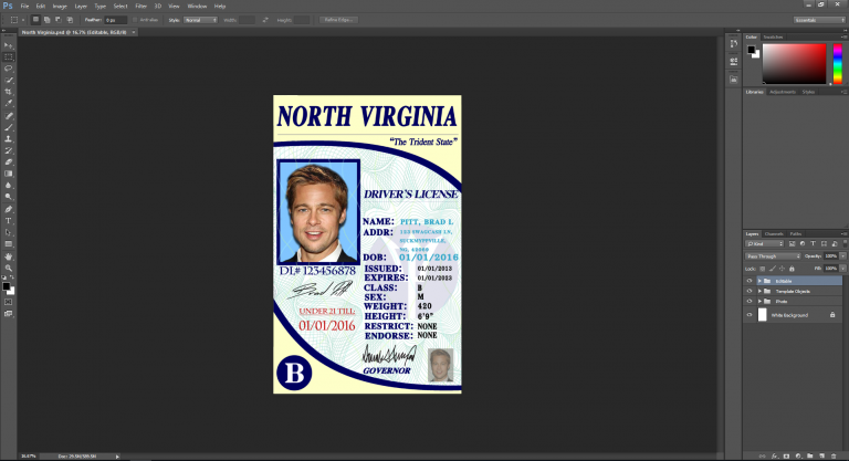 North Virginia driving licence psd template