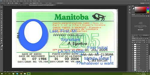 Manitoba Canada driving licence psd template